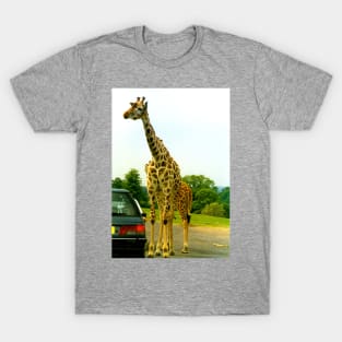 Giraffe T-Shirt